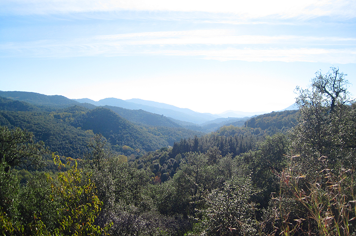 Atardecer en Montseny
